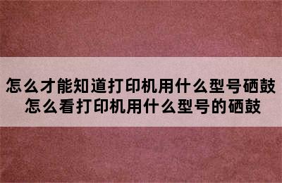 怎么才能知道打印机用什么型号硒鼓 怎么看打印机用什么型号的硒鼓